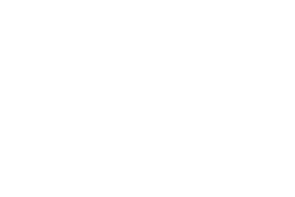 卓越した技の追求